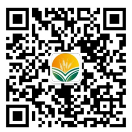 联系PP电子游戏